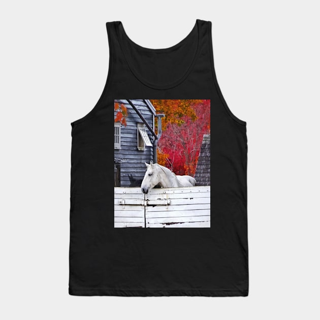 Horses - Autumn Farm With White Horse Tank Top by SusanSavad